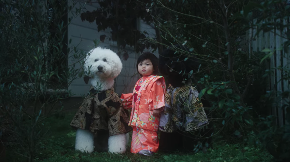 Urocze pudle i gwiazda Instagrama w klipie Becka