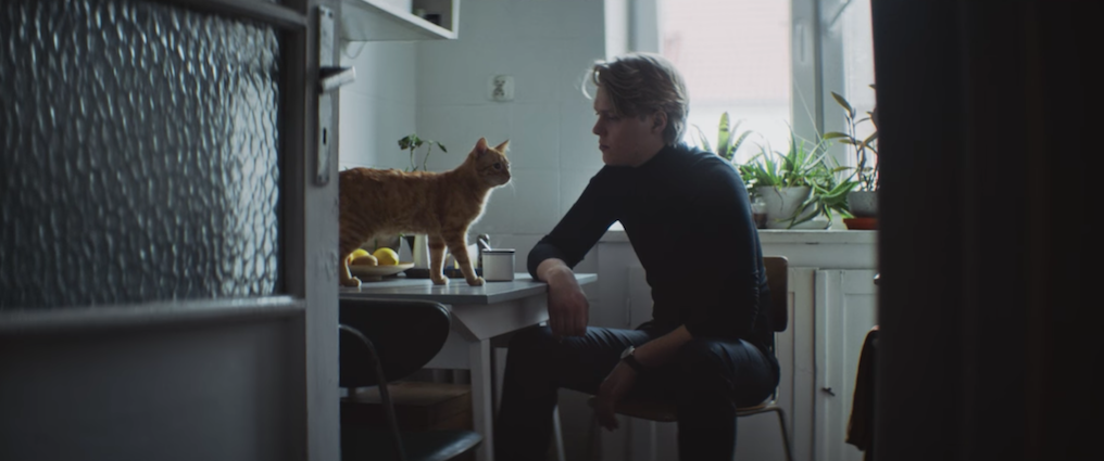 Zjazd gwiazd w klipie Tego Typa Mesa i Justyny Święs