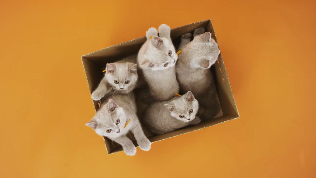 Netflix wymienił obsadę swoich topowych seriali. Efekt jest komiczny i przesłodki