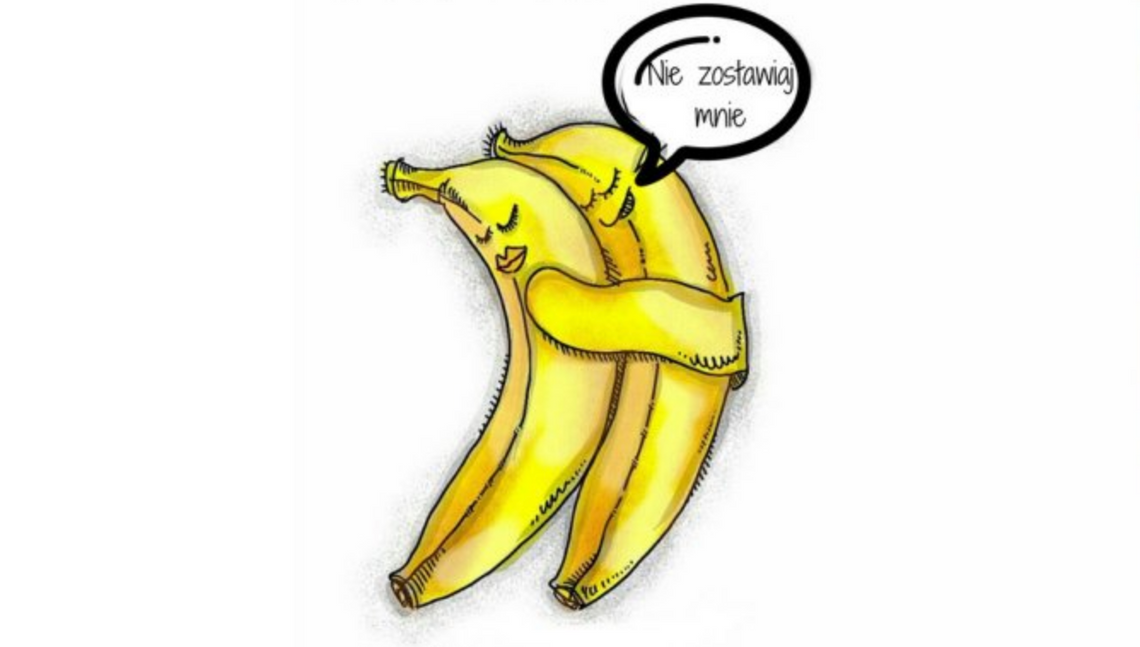 5 rad dla adeptów zero waste. Walkę z marnowaniem żywności zacznijmy od swojej lodówki