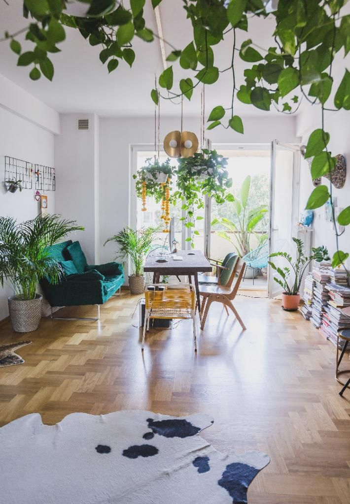 Zobaczcie piękne mieszkanie utalentowanej scenografki oraz niezwykle obiecującego młodego operatora