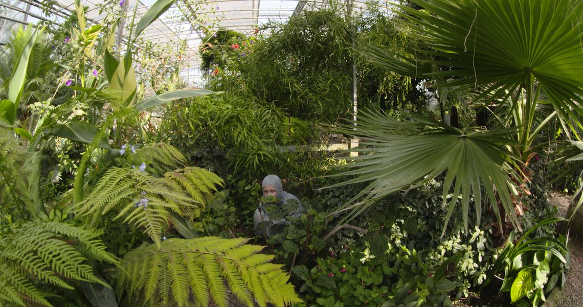 Rodzaje miłości i jej związki z chorobą wg Ani Nowak w projekcie "Czy można umrzeć na złamane serce?" [wywiad]