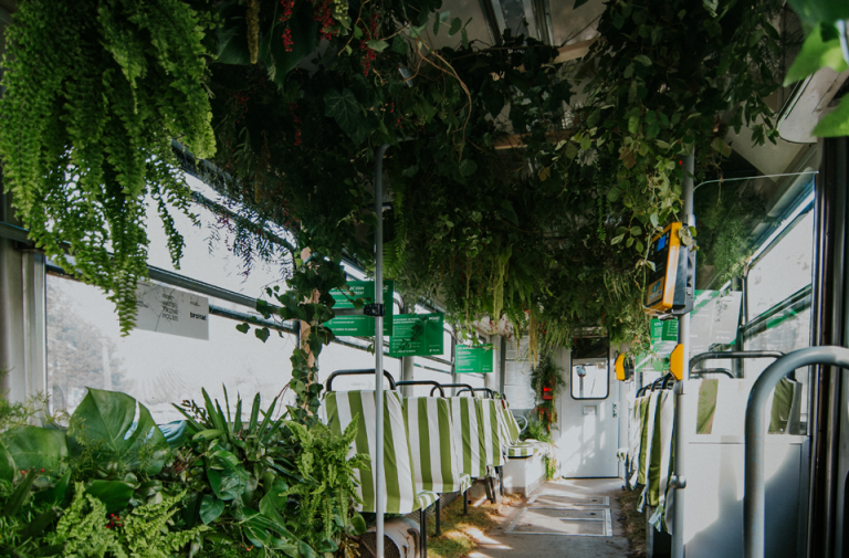 Po Śląsku jeździł tramwaj pełen prawdziwych roślin. Pomagał walczyć ze smogiem