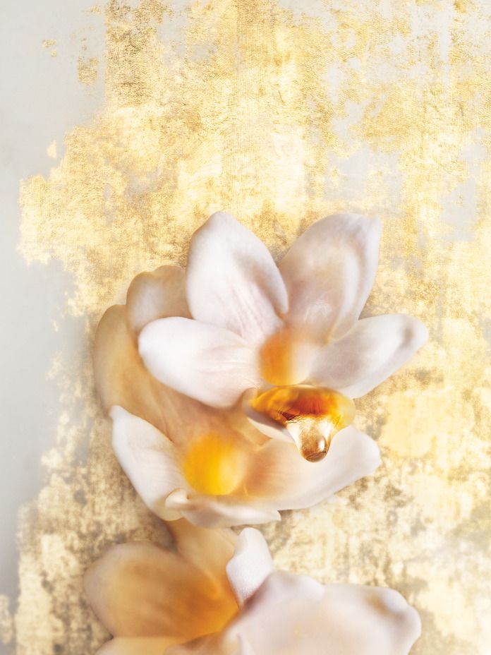 Jaśminowa moc rozkosznie ponętnej kompozycji. J’adore Absolu - nowa odsłona kultowego zapachu Diora - już w sprzedaży