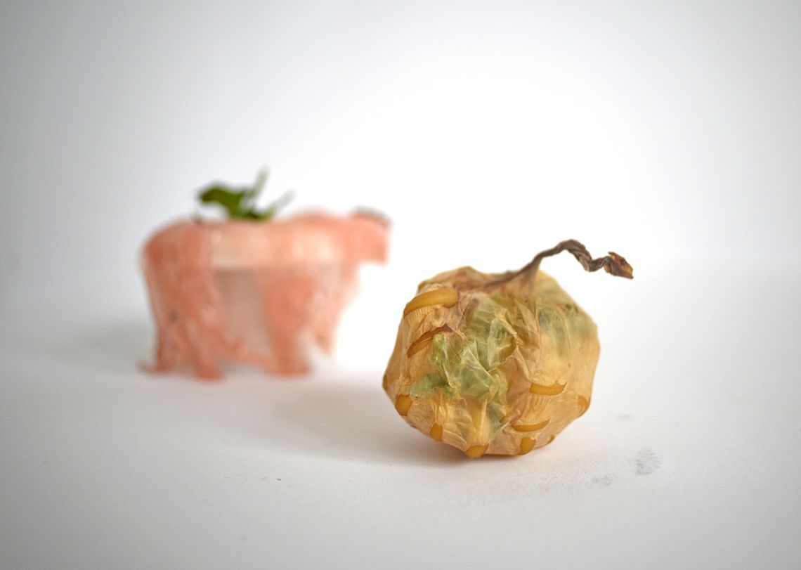 Polska projektantka stworzyła organiczną alternatywę dla plastikowych opakowań, która może podbić świat