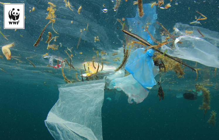 Australia w 3 miesiące ograniczyła zużycie plastikowych toreb jednorazowych o 80%