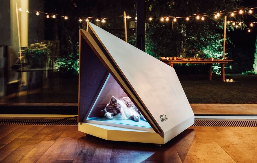 Dźwiękoszczelny i efektowny kojec dla psów od Forda. Może uratować zwierzętom sylwestra