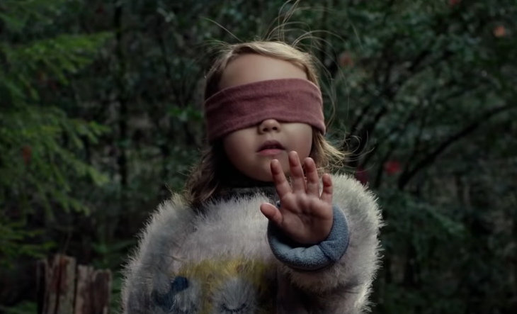 Walka z głupotą trwa: Netflix i YouTube wojują z "Bird Box challenge"