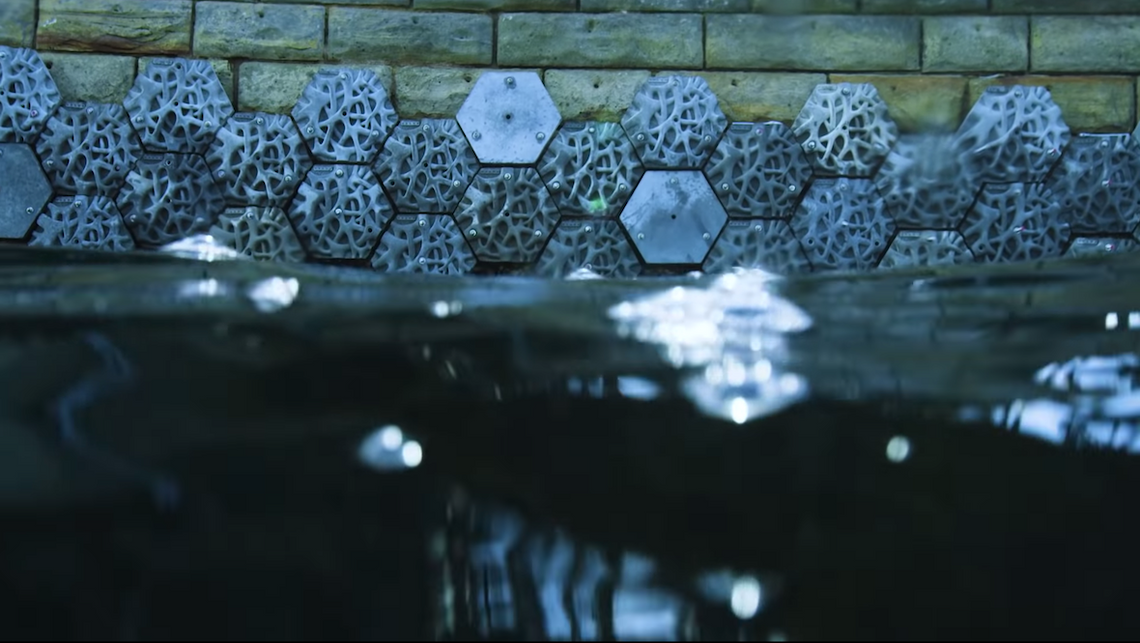 Volvo stworzyło żyjący wał nadmorski. Ma pomóc w walce z zanieczyszczeniem oceanów plastikiem