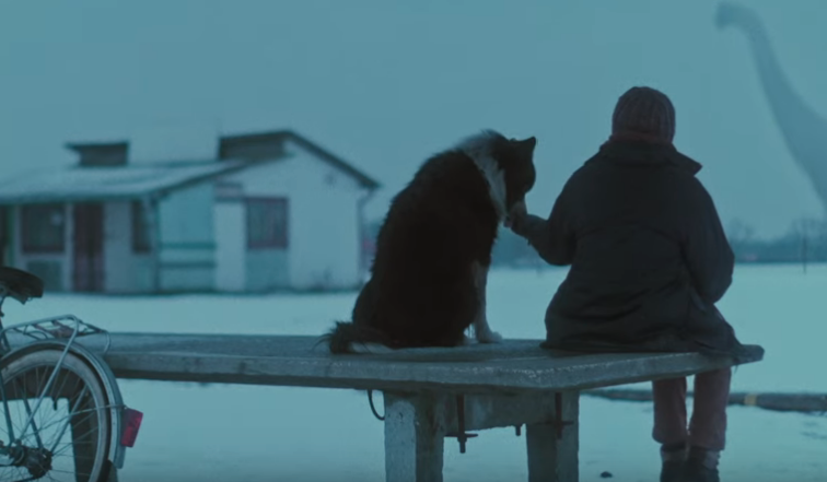 Poruszający klip do "Szarówki", Daria Zawiałow zapowiada kolejny album [wideo]