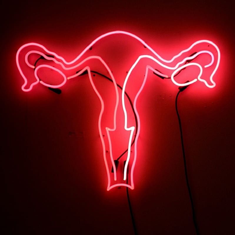 Powstaje pierwsze na świecie Muzeum Waginy. Ma bardzo ważną misję