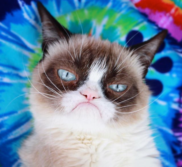 MSWiA zorganizowało konkurs na mema lub gifa i samo stało się obiektem żartów