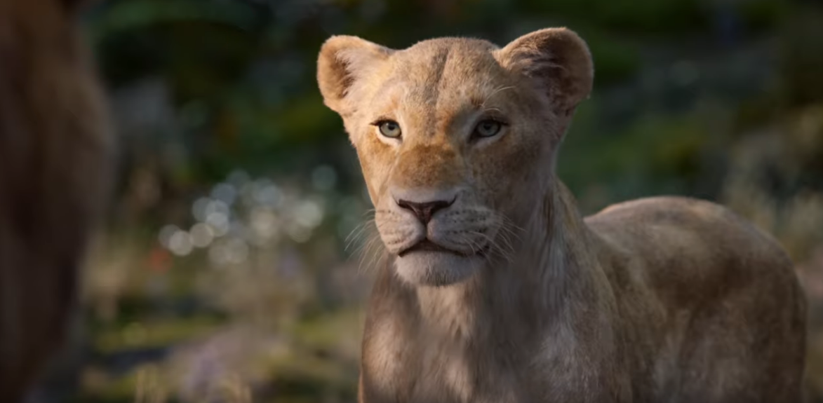 Jest pierwszy zwiastun remake'u "Króla Lwa" z udziałem Beyoncé