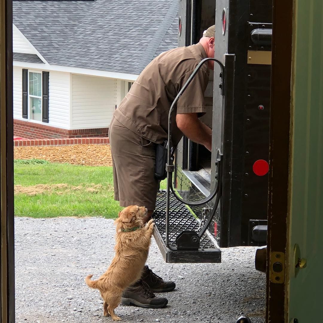 Kurierzy publikujący zdjęcia z psami napotkanymi podczas dostarczania paczek podbijają internet
