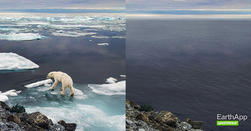 Greenpeace pokazał swoją wersję FaceApp. Efekt jest porażający