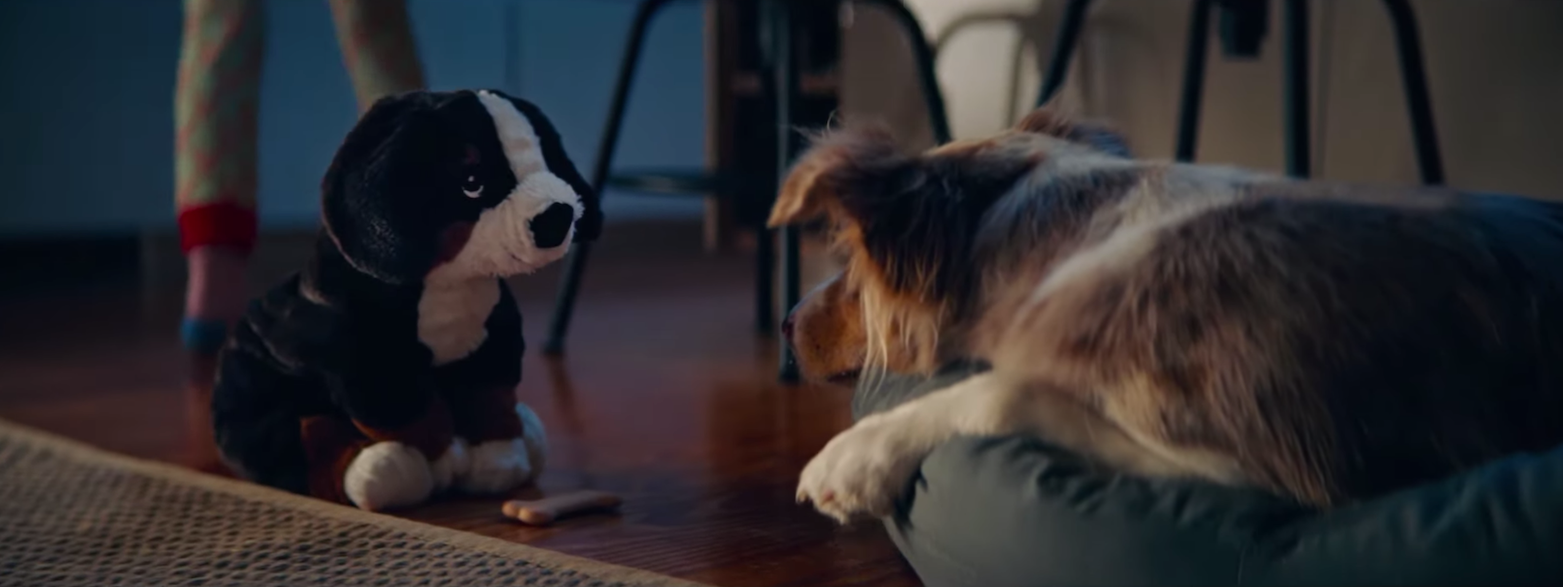 Psie „Love Story” we wzruszającym spocie IKEI. Zobaczcie wideo