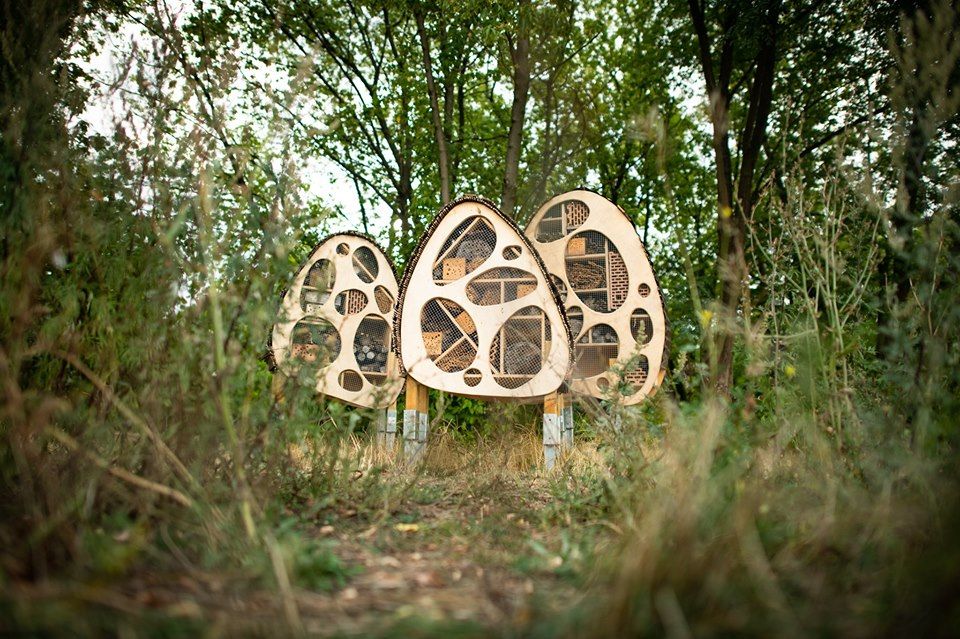 W Warszawie pojawiły się nowoczesne domki dla owadów. Wyglądają pięknie