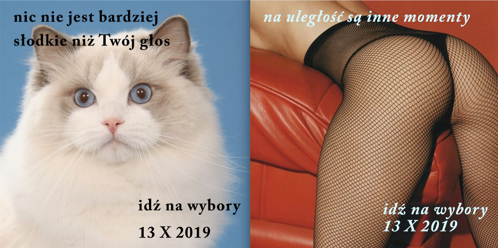 Internetowe grafiki wyborcze Weroniki Guenther wywołały furorę. Czy młodzi ludzi potrzebują lepszej zachęty do głosowania?