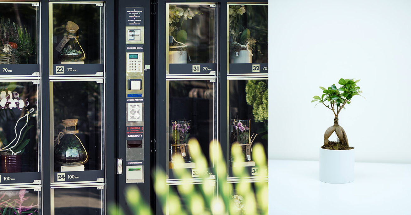 W Warszawie pojawił się Kwiatomat 24/7. Oferuje bukiety, rośliny doniczkowe, a nawet lasy w słoiku