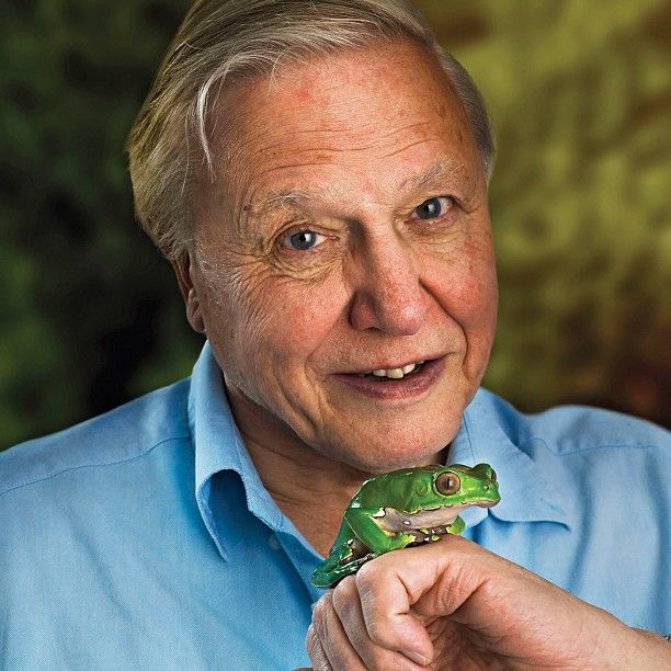 Ma 93 lata i jest aktywistą klimatycznym. David Attenborough stworzył nowy serial, który niedługo trafi do Polski