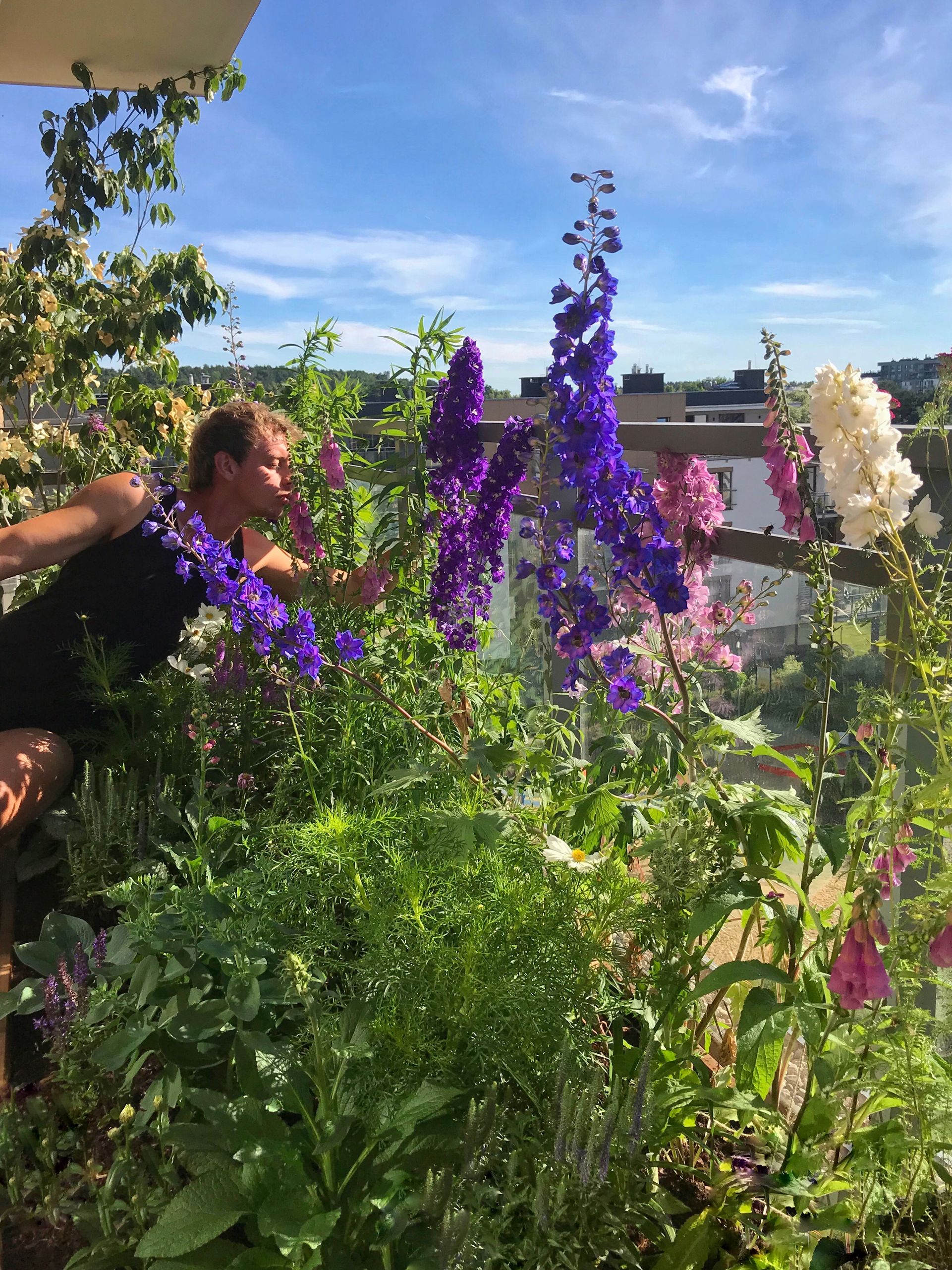 Prawdziwa domowa dżungla u ogrodnika-artysty. Remigiusz Dorawa ma jedno z najbardziej zielonych mieszkań w kraju