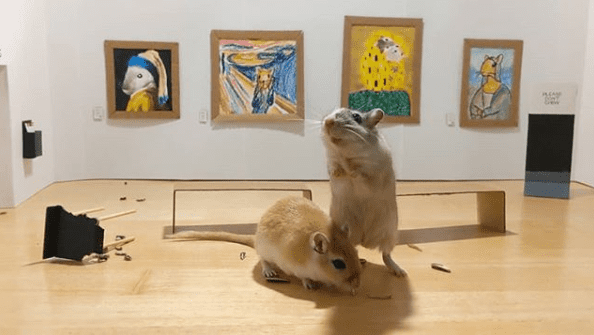 Mini-Muzeum dla myszoskoczków? Przeuroczy pomysł londyńskiej pary to hit internetu