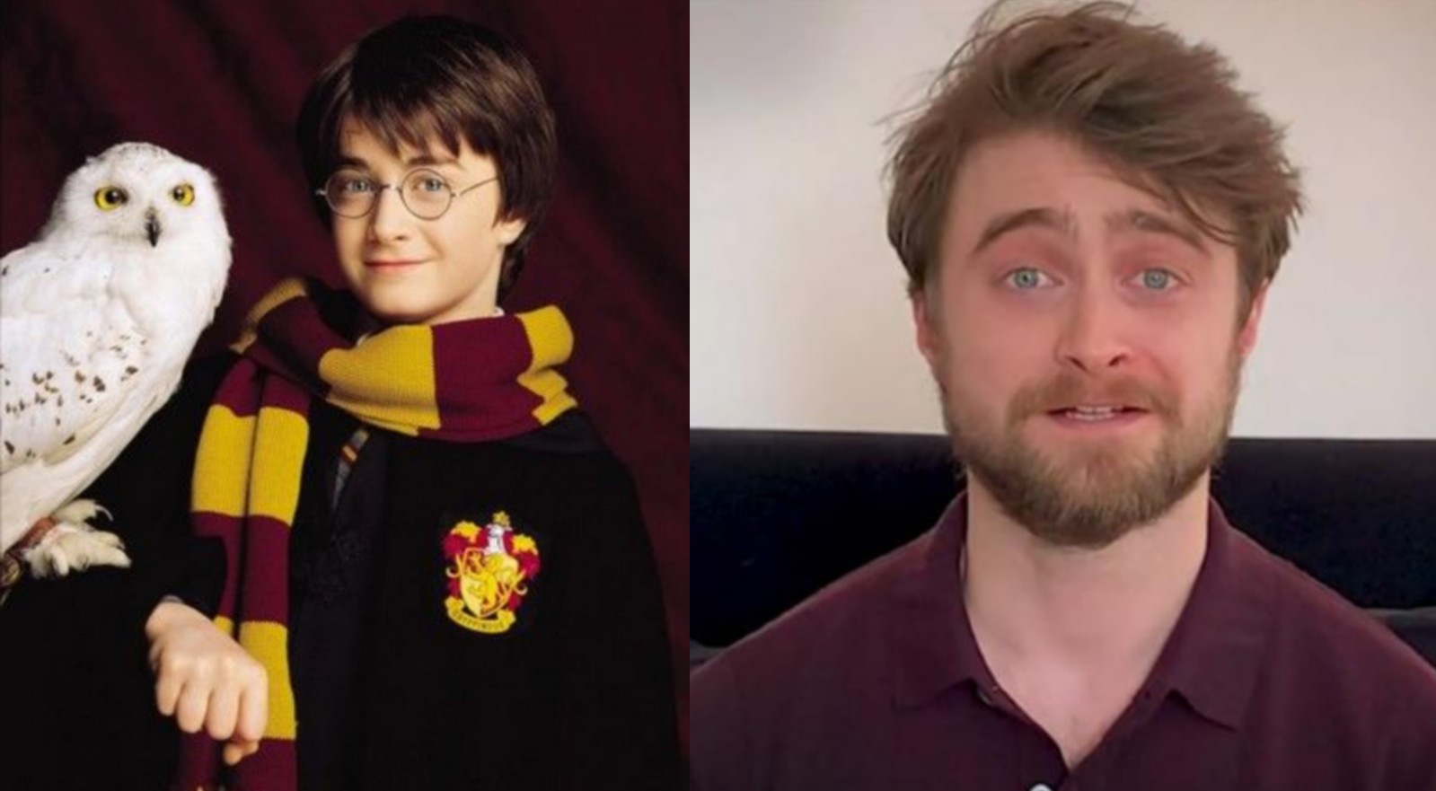 Daniel Radcliffe i inne gwiazdy czytają "Harry'ego Pottera i Kamień Filozoficzny"