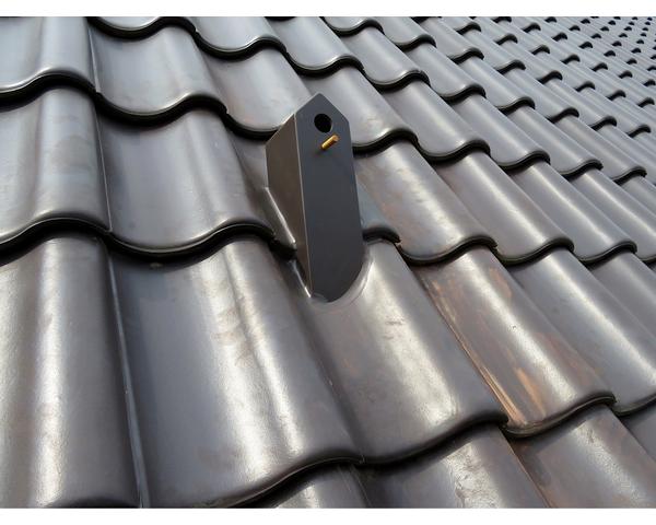 Budki w dachówkach – sposób na wzrost populacji ptaków