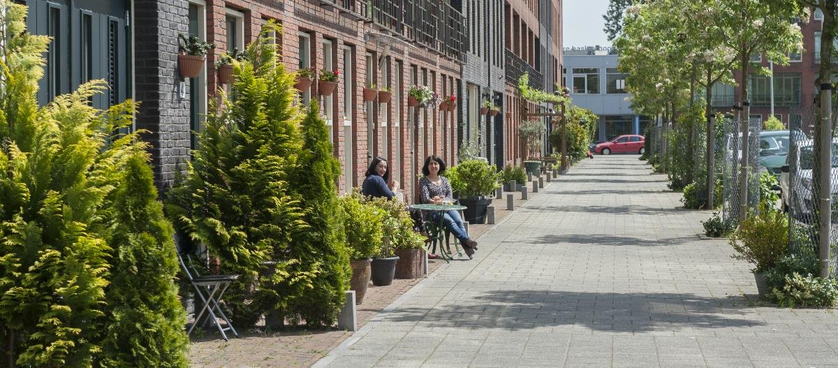 Rotterdam zachęca do rozłupywania chodników i sadzenia roślin. To jeden ze sposobów walki ze zmianami klimatycznymi