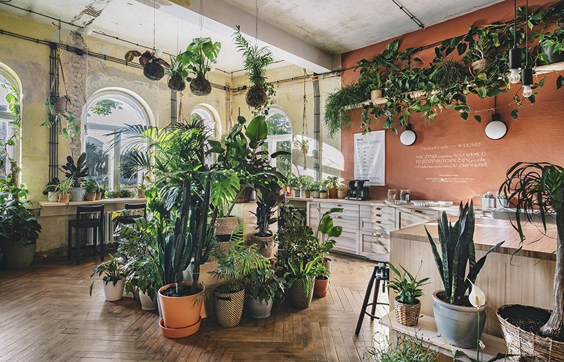 Mieszkanie przyszłości IKEA stanęło w Szczecinie. Jest samowystarczalne i wypełnione roślinami