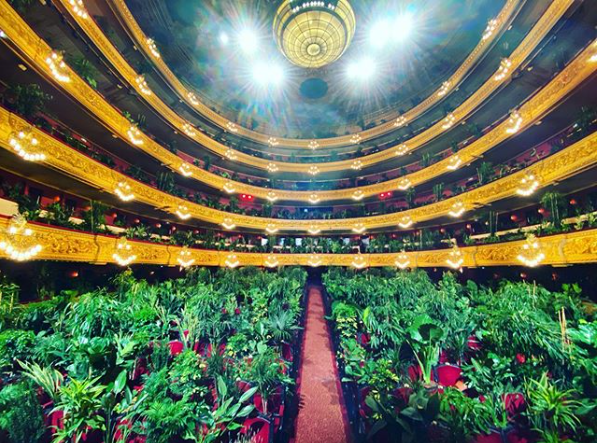 Opera w Barcelonie zorganizowała koncert dla… 3 tysięcy roślin. Tak celebruje otwarcie dla gości