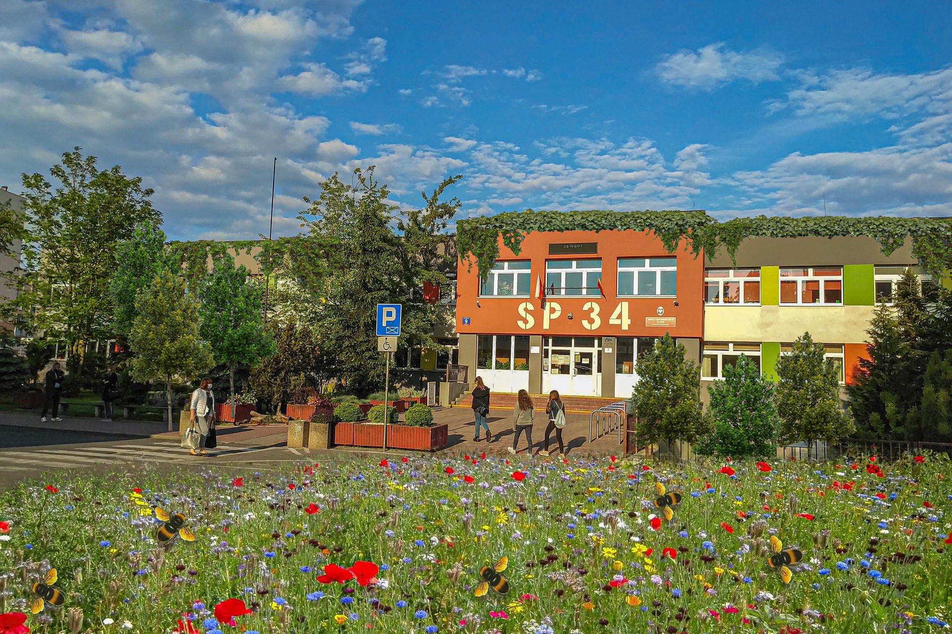 Łódź stawia na ekologię. Edukacja ekologiczna i ogrody deszczowe w szkołach