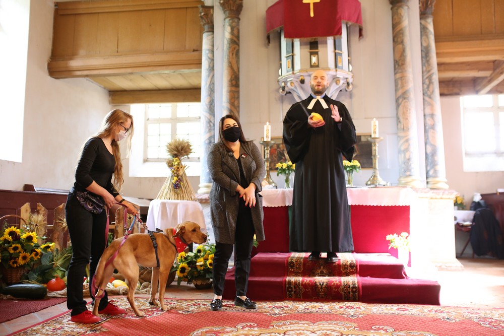 W czasie mszy w Łęgutach ksiądz przedstawił bezdomnego psa do adopcji