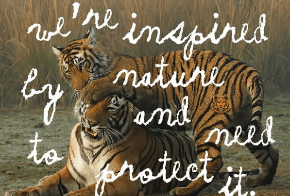 Kenzo debiutuje z nowym logiem wspierając wzrost populacji dzikich tygrysów