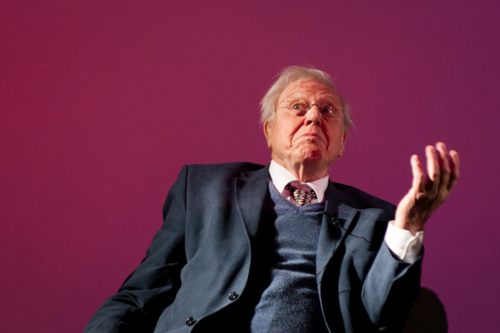 Sir David Attenborough w rekordowym tempie podbija Instagram i ostrzega przed kryzysem klimatycznym