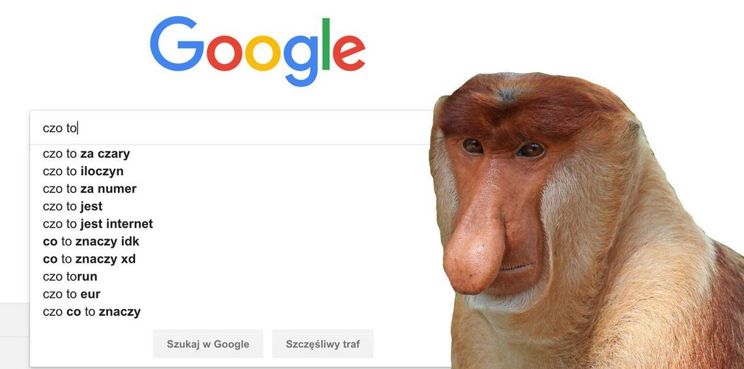 Czego szukali Polacy w Google'u w 2020 roku? Oto oficjalny ranking najczęstszych zapytań w wyszukiwarce