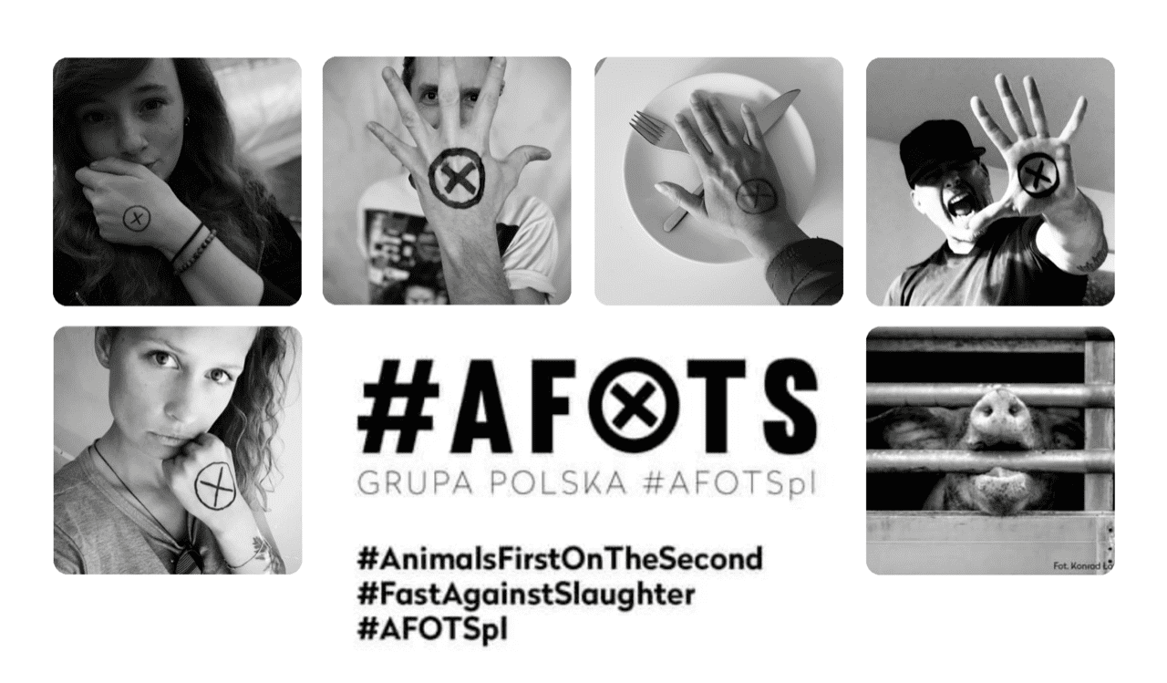 #AFOTS to solidarność ze zwierzętami transportowanymi na rzeź. Do międzynarodowej akcji może dołączyć każdy