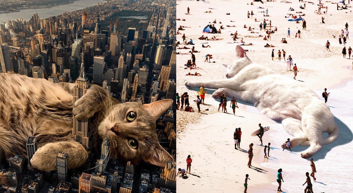 W przeróbkach amerykańskiego artysty świat należy do kotów