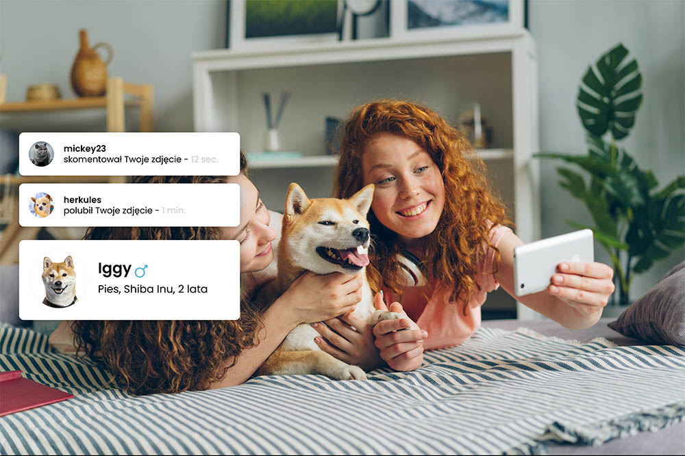 Polski start-up stworzył Instagrama dla zwierząt