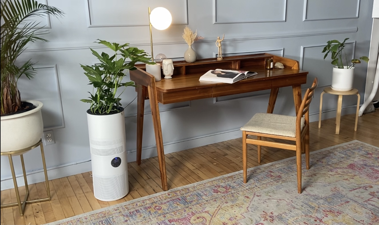 Moc roślin i technologia inspirowana NASA. ARIA to remedium na zanieczyszczone powietrze