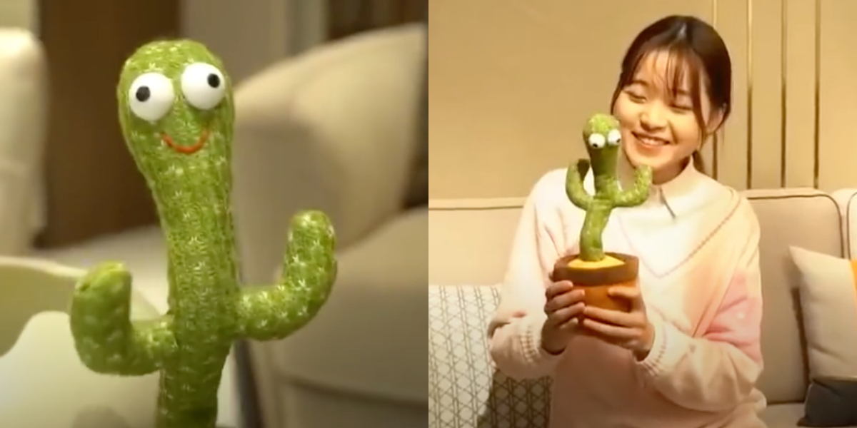 „Koksu pięć gram".  Tańczący kaktus-zabawka z Tajwanu rapuje hit polskiego rapera