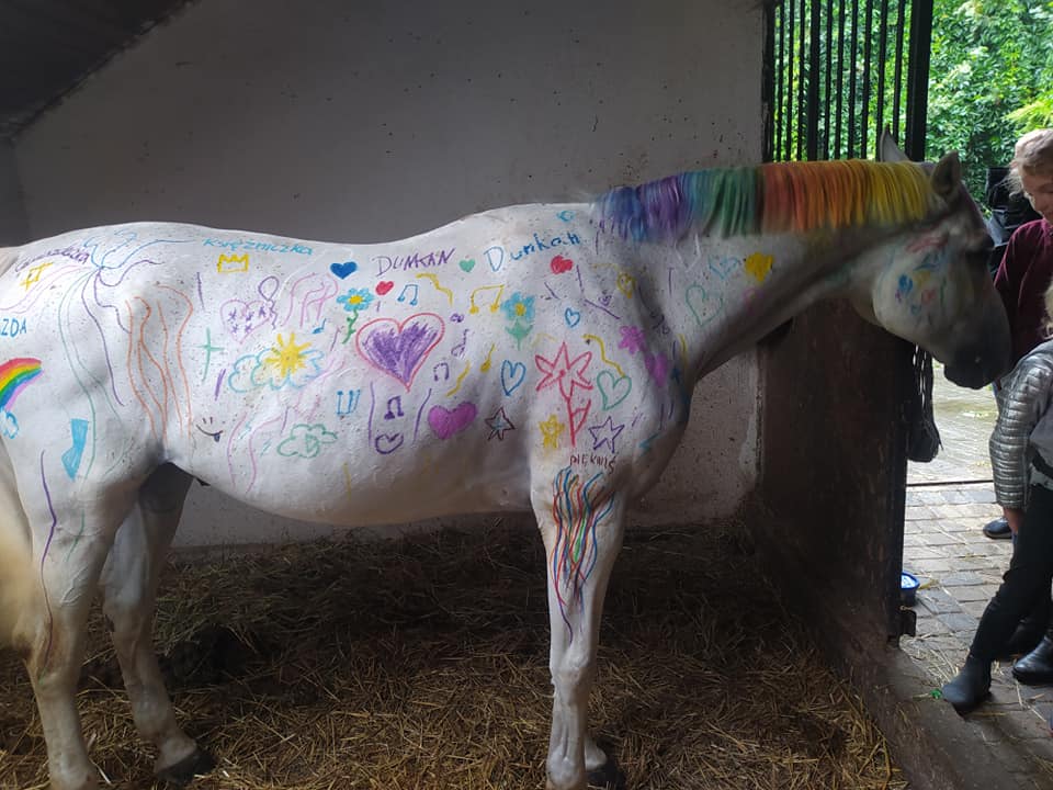 Dzieci pomalowały konia kredkami. Internet zawrzał, ale stajnia nie zamierza przepraszać