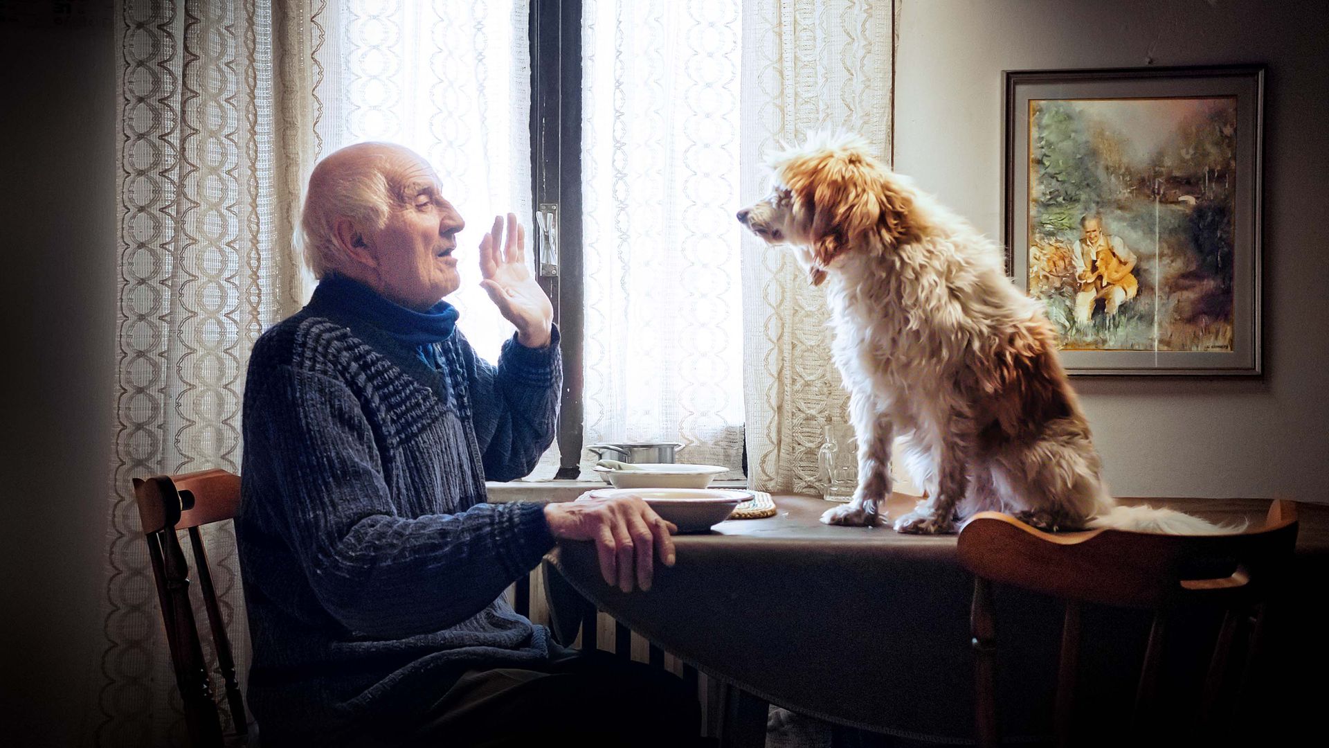 We włoskim Piemoncie ze swoimi psami zbierają trufle od lat. Jest zwiastun dokumentu „Truflarze”