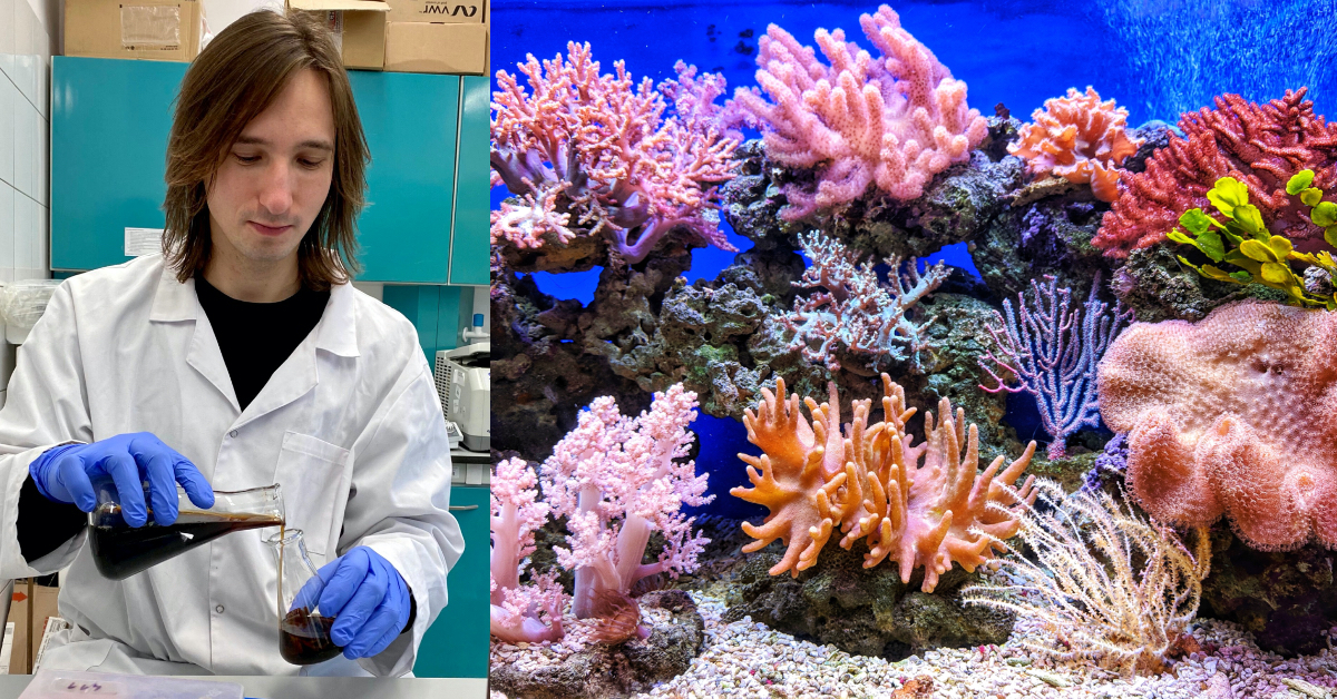 Student z Polski odkrył bakterię produkującą naturalny filtr UV. To może uratować koralowce
