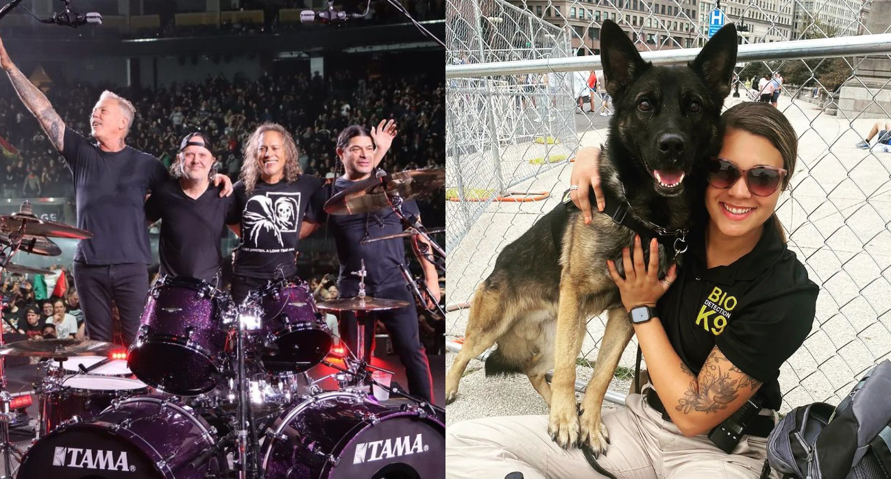 Metallica zatrudniła psy do wykrywania osób zarażonych koronawirusem na koncertach