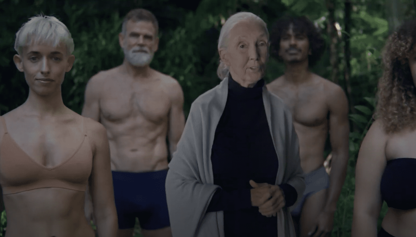 88-letnia badaczka szympansów wystąpiła w reklamie bielizny z bambusa