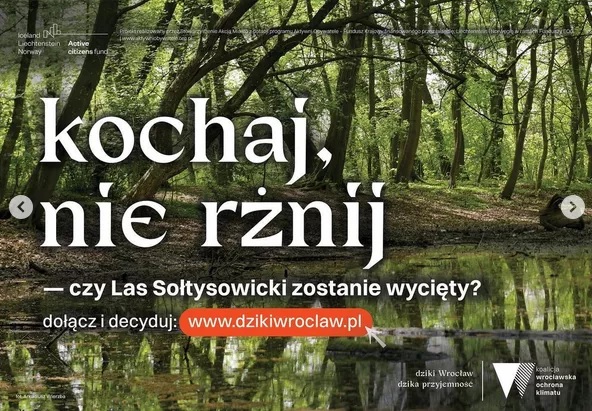 „Kochaj, nie rżnij”, „Chcemy mieć mokro" - kontrowersyjna kampania Koalicji Wrocławskiej Ochrona Klimatu