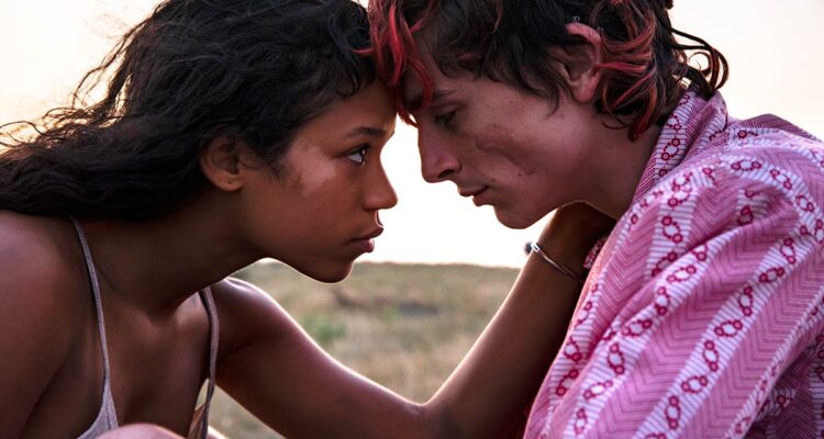 Timothée Chalamet w roli zakochanego kanibala w nowym filmie Luca Guadagnino