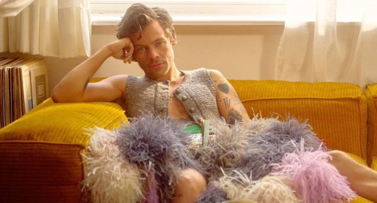 Harry Styles krytykowany za komentarz na temat scen gejowskiego seksu w filmach