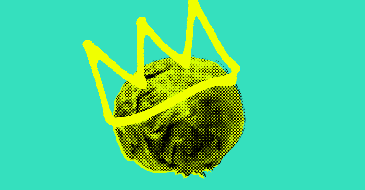 To koniec „Lodowej Damy”. Jak sałata pokonała brytyjską premier Liz Truss?